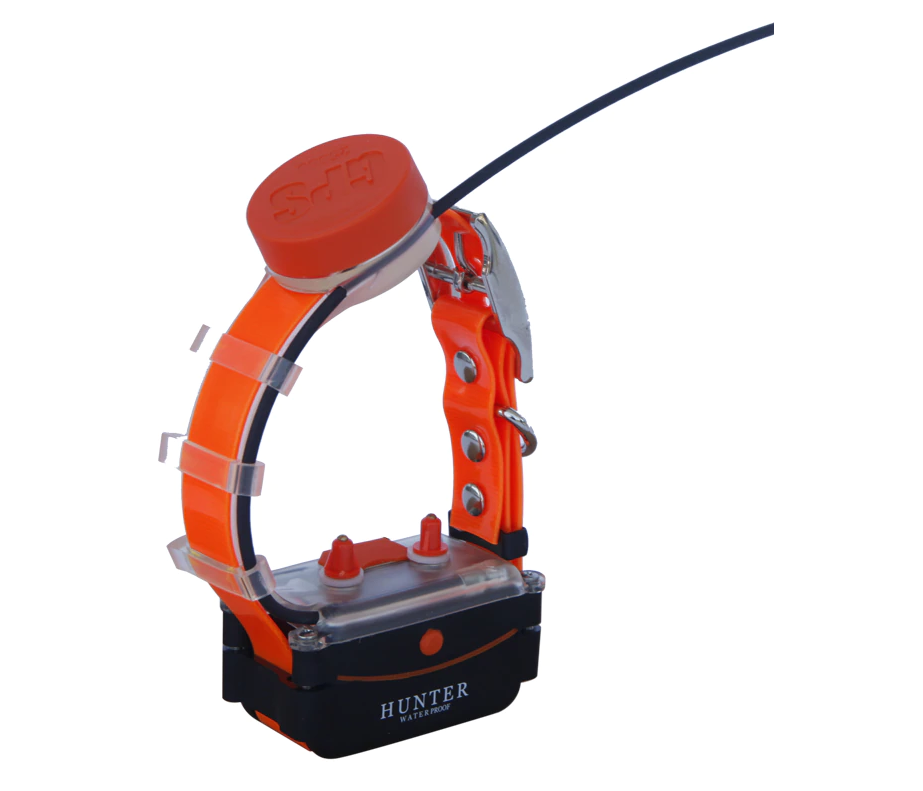kaninobg.com GPS тракери нашийници за кучета ловни кучета gps tracker bulgaria gps dog collars for hunting dogs лов на лов с куче ловно куче най-добрите ловни кучета как да тренираме ловно куче на лов с куче допълнителен нашийник Канино GPS PRO с ток